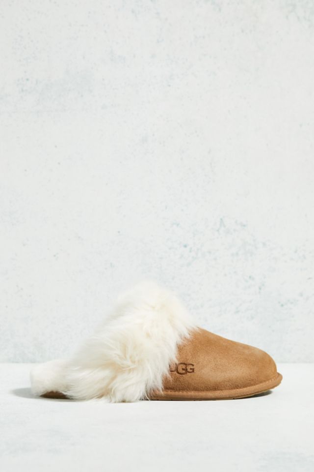 Ugg on sale scuffette sale