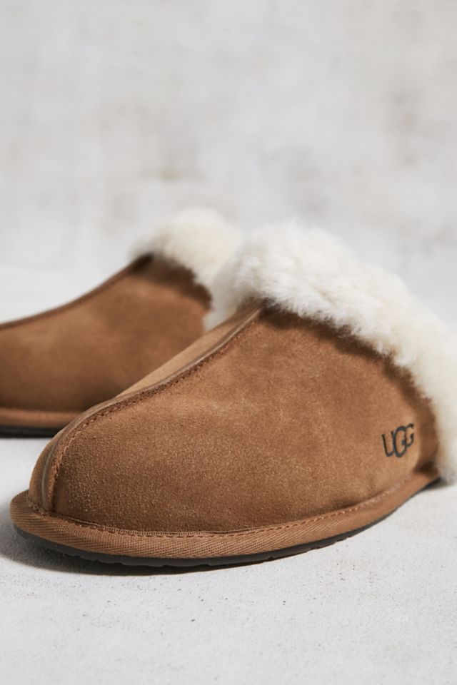 Ugg scuffette ii on sale chestnut