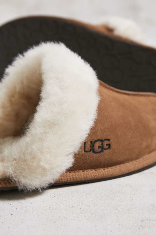 Ugg scuffette slippers on sale size 6