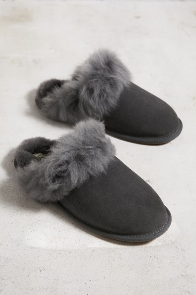 Ugg scuffette slippers grey on sale violet