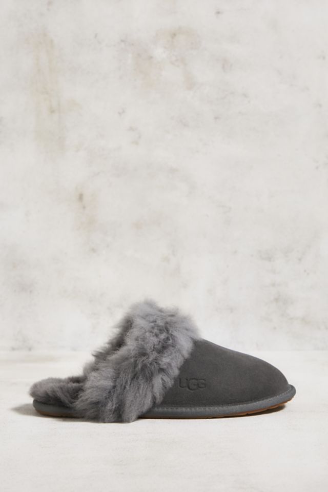 Ugg scuffette hot sale slippers grey