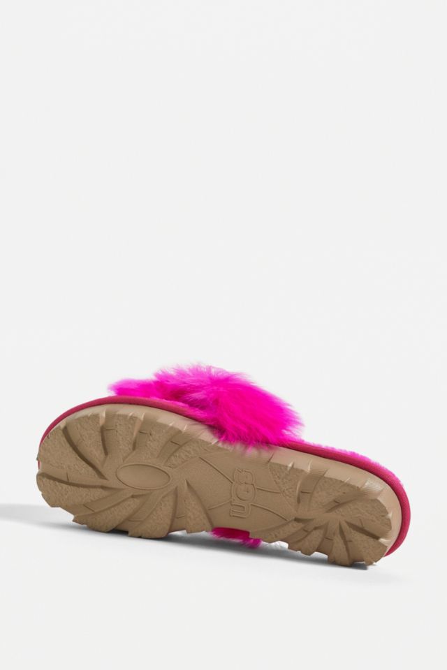 Fuzzalicious uggs online