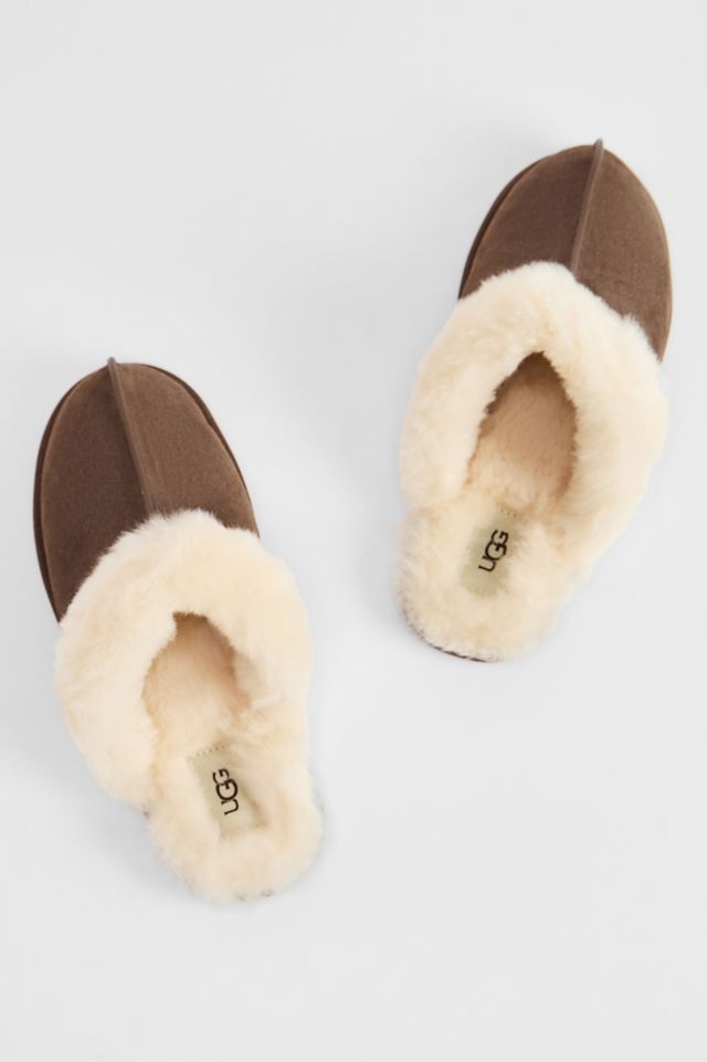 Pantoufles UGG Scuffette II Espresso #2
