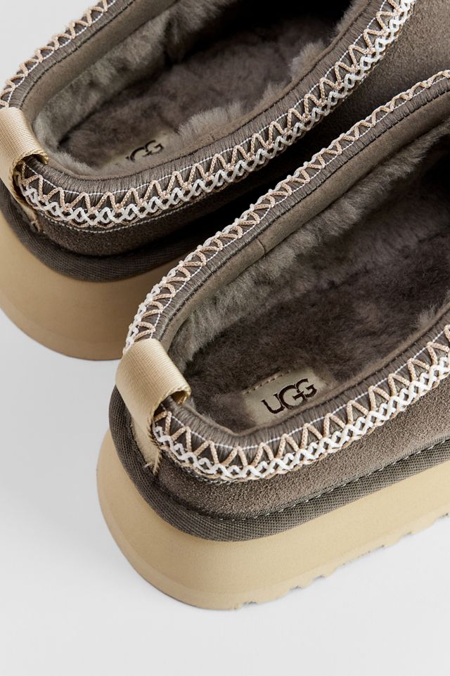 Pantoufles UGG Tazz II Dried Oregano #3