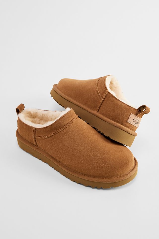 Stivali Micro Classic UGG Chestnut #1