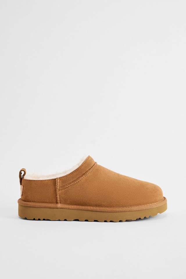 Stivali Micro Classic UGG Chestnut #2