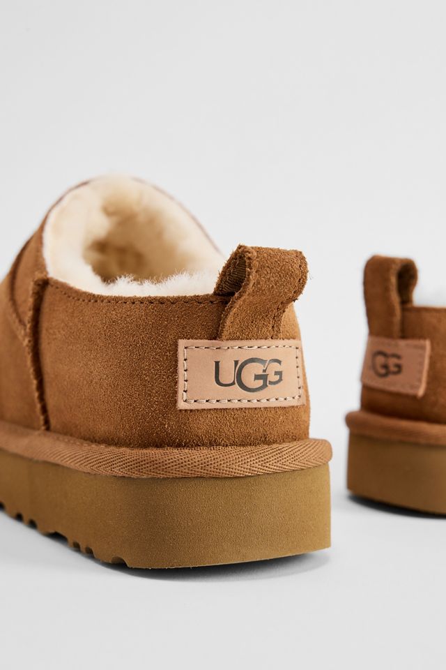 Stivali Micro Classic UGG Chestnut #3