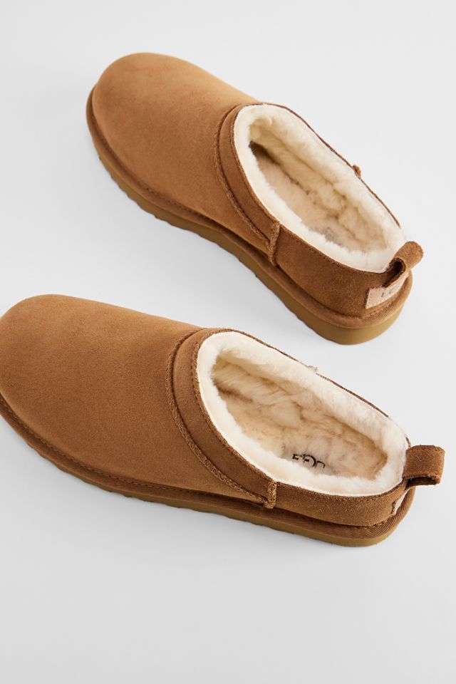 Stivali Micro Classic UGG Chestnut #4