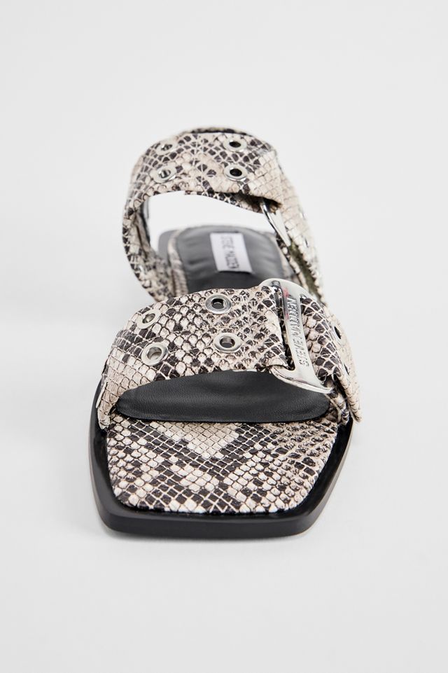 Steve Madden Snake Print Saria-E Sandals #3