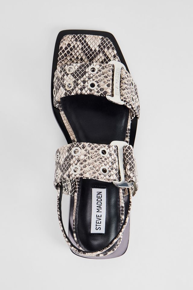 Steve Madden Snake Print Saria-E Sandals | Urban Outfitters UK