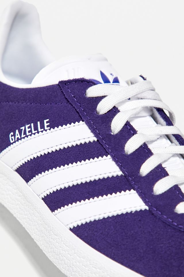 Gazelle violette clearance