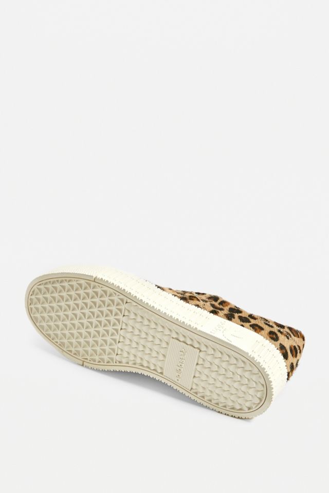 Sambarose leopard hot sale