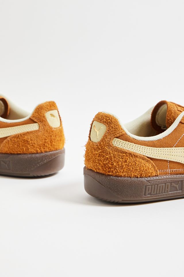 Brown puma deals