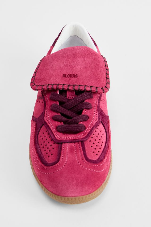 Baskets AHOLAS Raspberry TB.490 Club #2