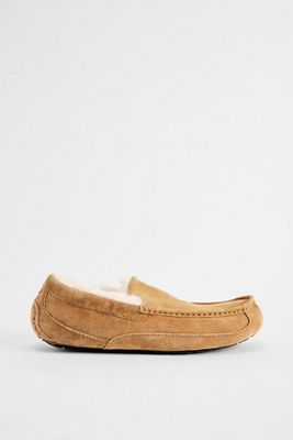 Pantuflas UGG Ascot Color Castaño