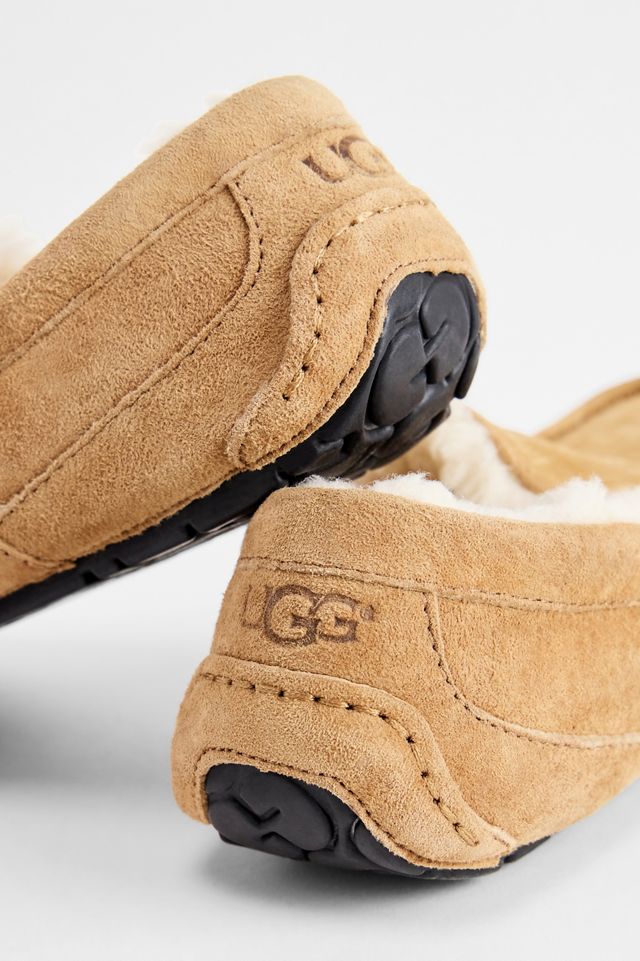 Pantoufles Ascot UGG Châtaigne #2