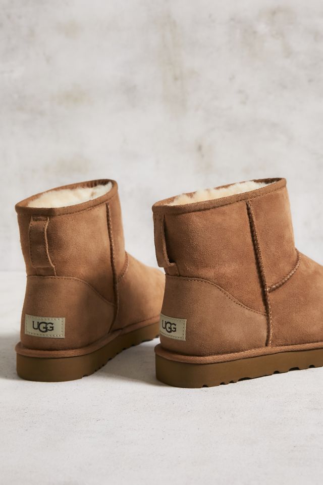 Ugg chestnut classic on sale mini