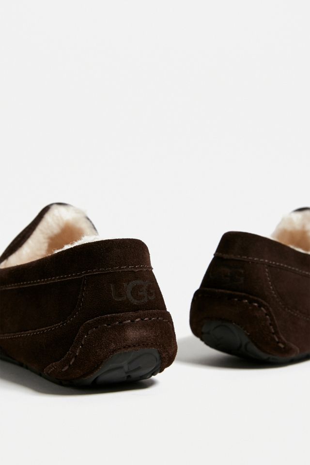 Zapatillas de gamuza UGG Espresso Ascot #1