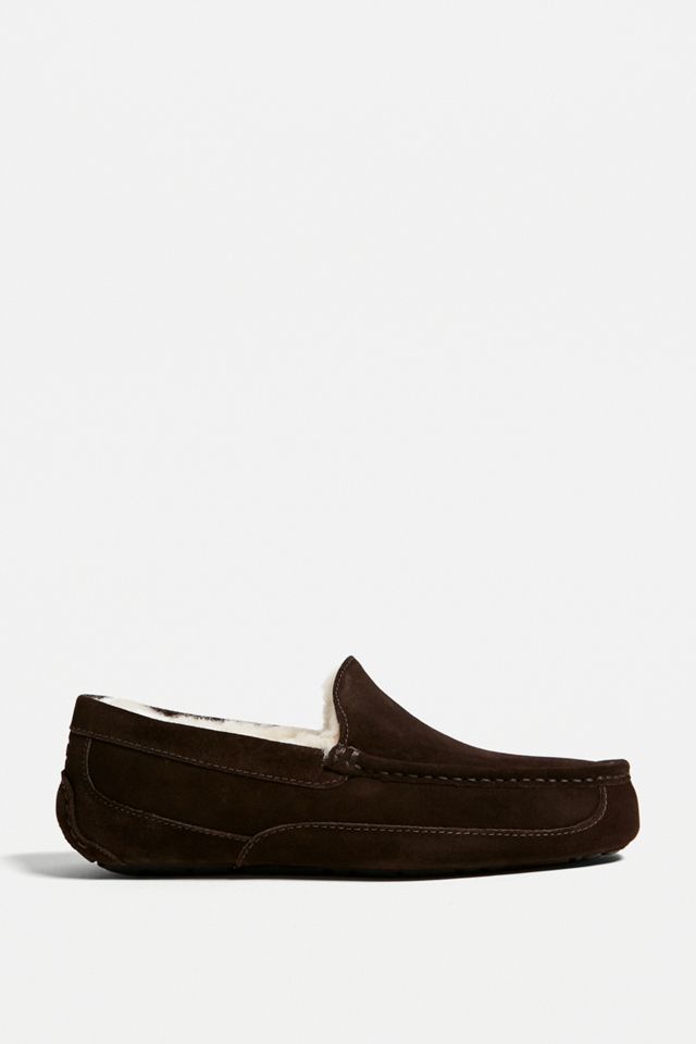 Zapatillas de gamuza UGG Espresso Ascot #2