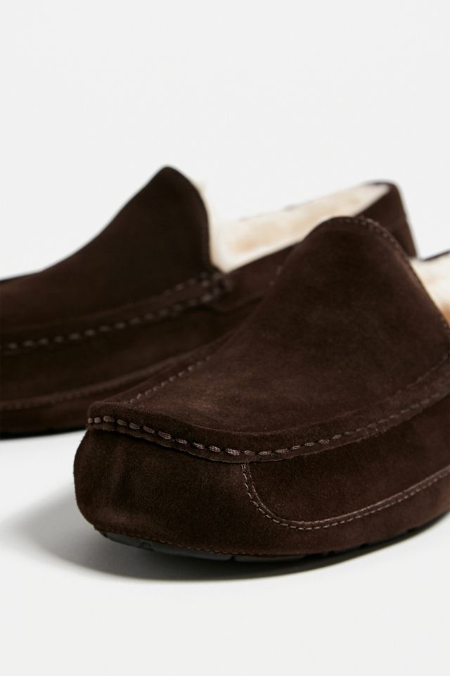 Zapatillas de gamuza UGG Espresso Ascot #3