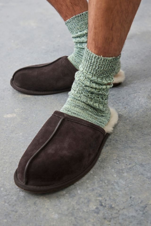 UGG Espresso Scuff Slippers