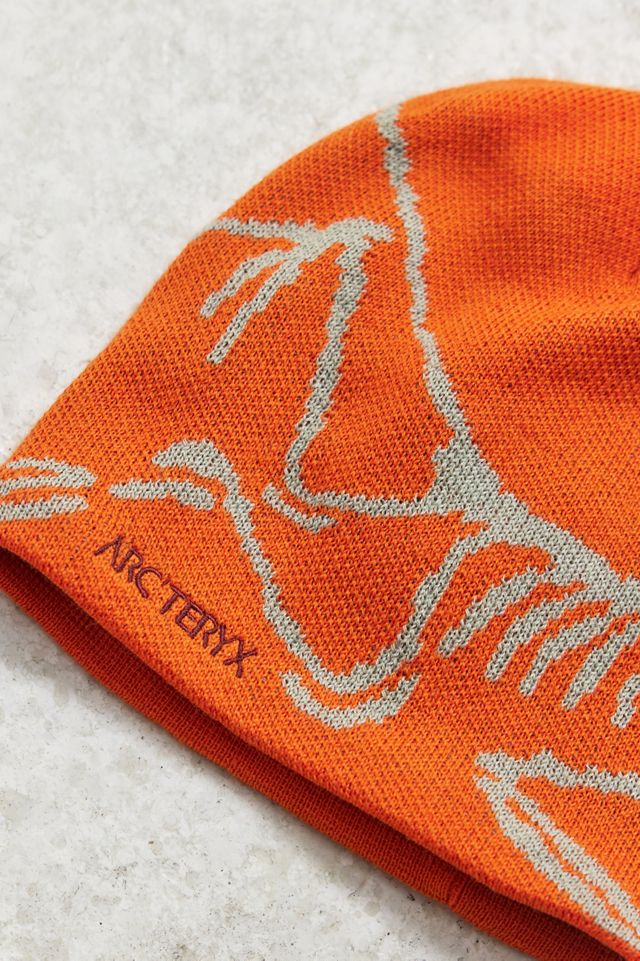 Urban Renewal One-Of-A-Kind Arc'teryx Beanie #1