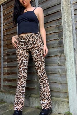 Leopard Sheer Tight  Urban Outfitters Australia