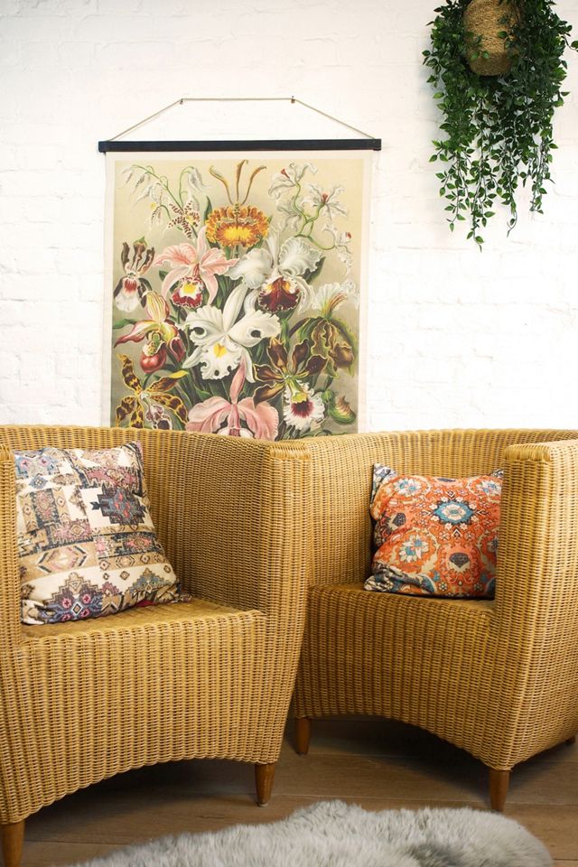 Urban Renewal Vintage Late 20th Century Cane Tub Chairs #1