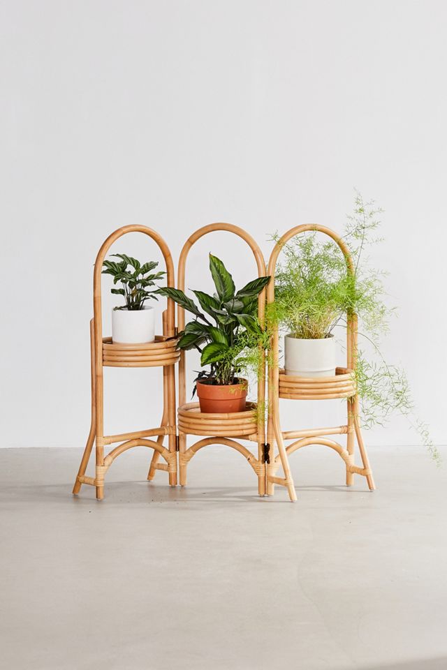 Rattan Plant Stand #3