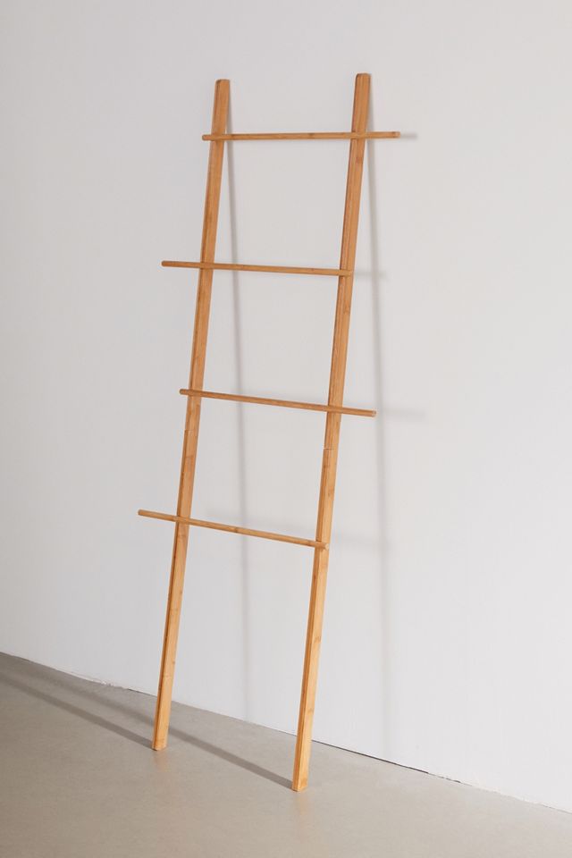 Levi Storage Ladder #1