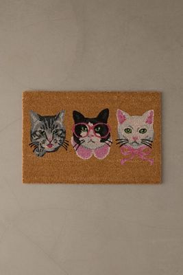 Zerbino Gatto Sfacciato