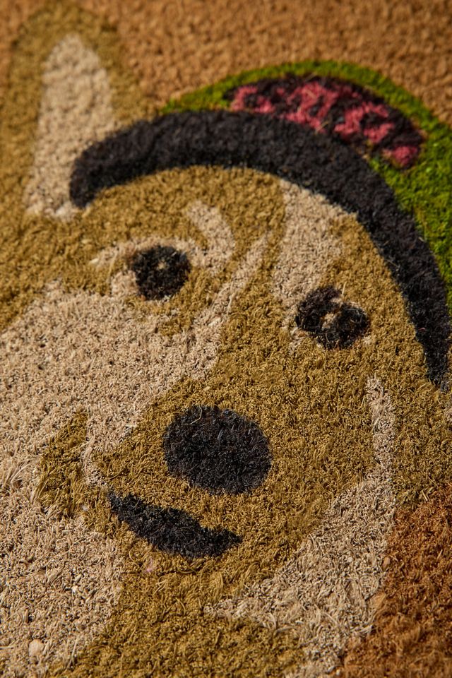 Outdoor Dog Doormat #1