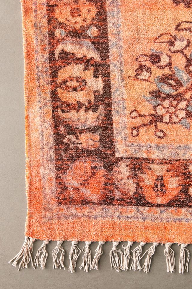 Ziba Coral Chenille 2x3 Rug #1