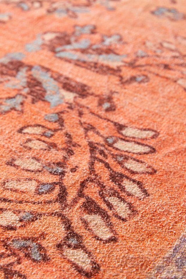 Ziba Coral Chenille 2x3 Rug #2