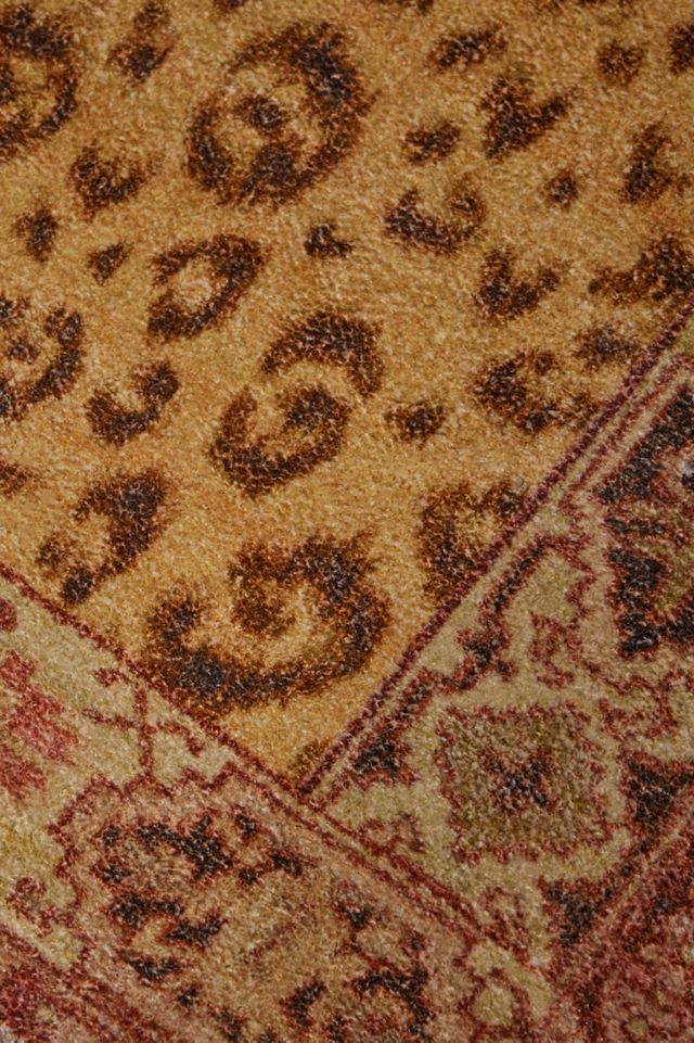 Leonore Gold Chenille 2x3 Rug #1