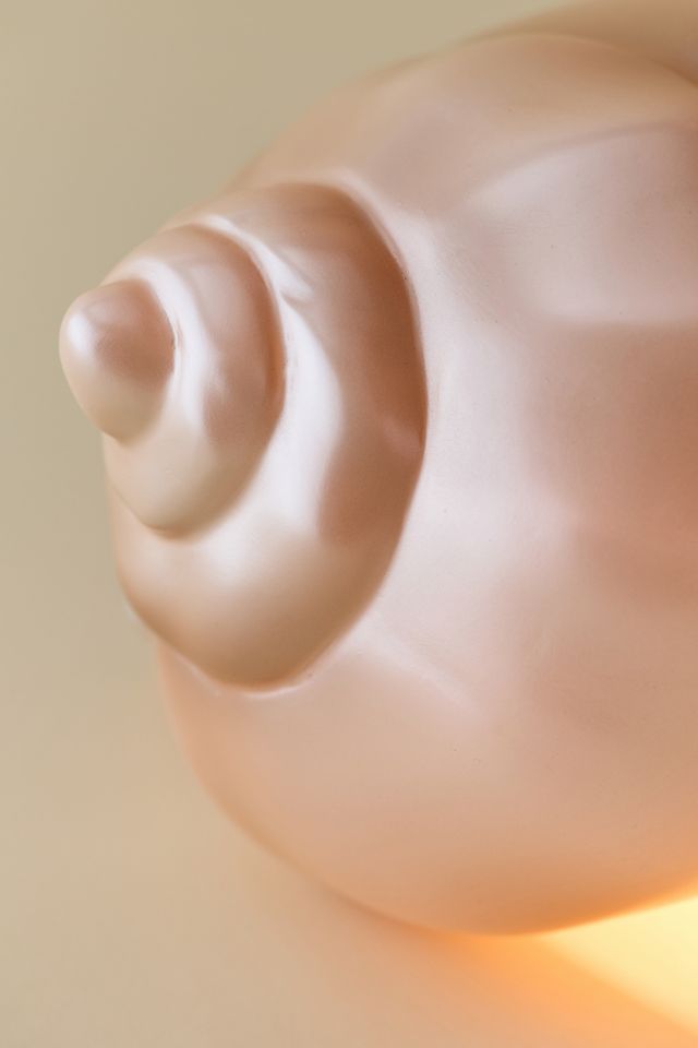 Shell Lamp #2