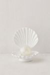 Shell Table Lamp | Urban Outfitters UK