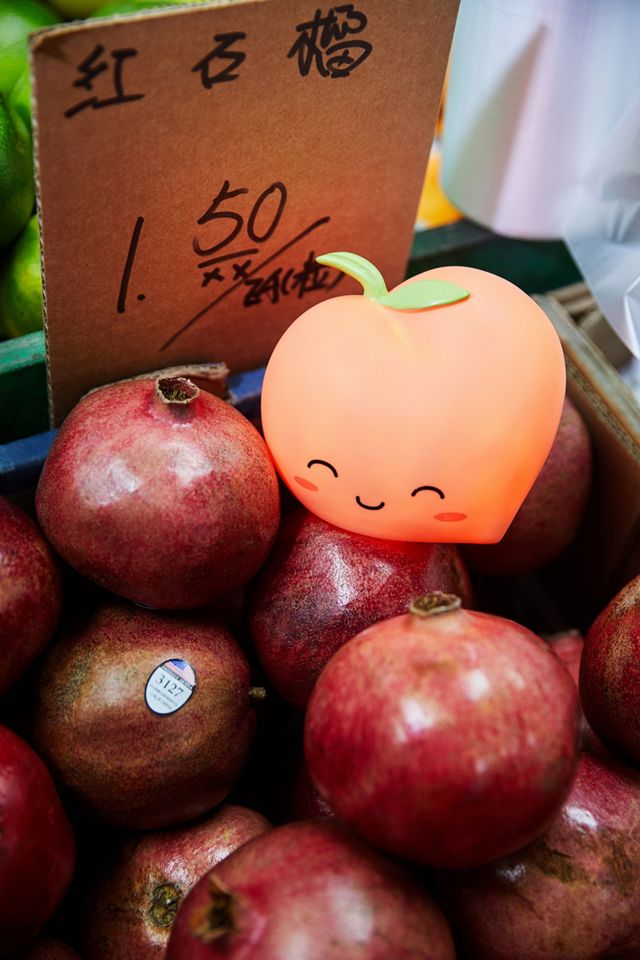 Smoko - Lampe pêche