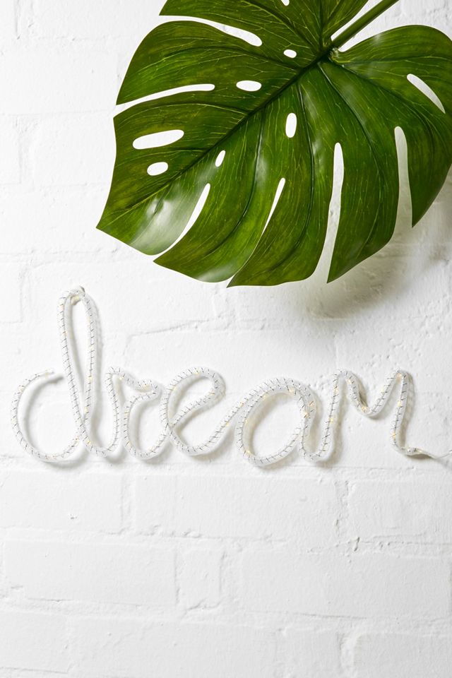 Locomocean Dream Nylon LED Light #1