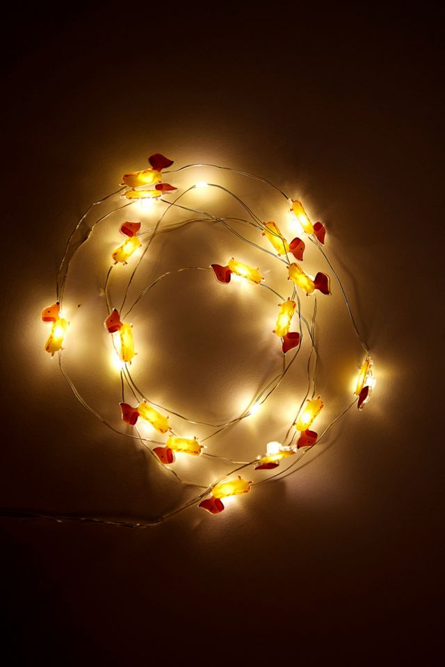 Guirlande lumineuse teckel #2