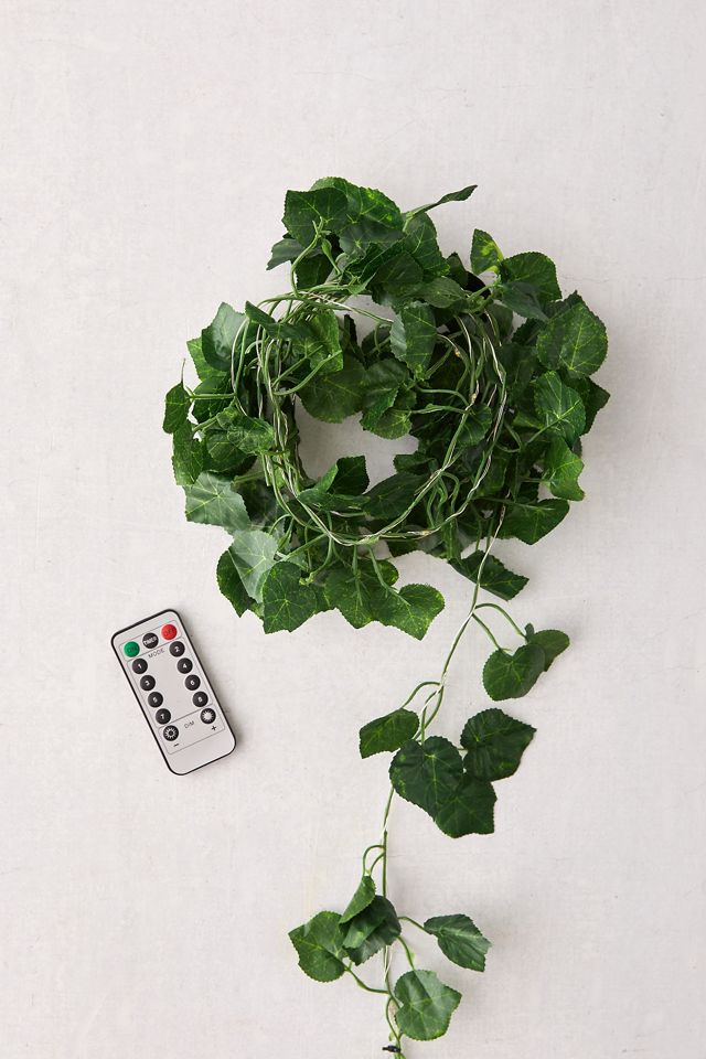 Ivy String Lights #1