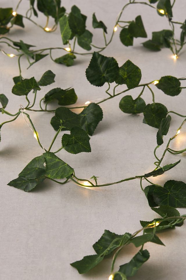 Ivy String Lights #3