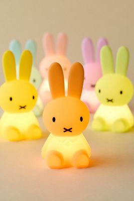 Luce a Forma di Personaggio Miffy Bundle Of Light Blind Box