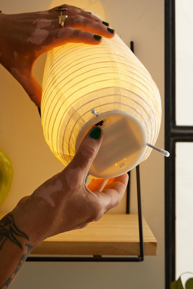 Tall Paper Lantern  #3