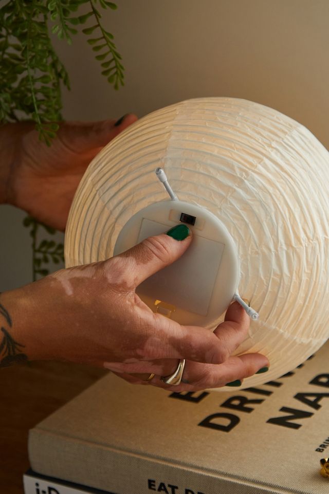 Globe Paper Lantern #3