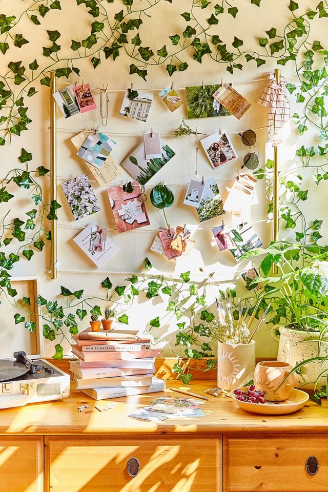 Umbra Picture Clip Wall Hanging