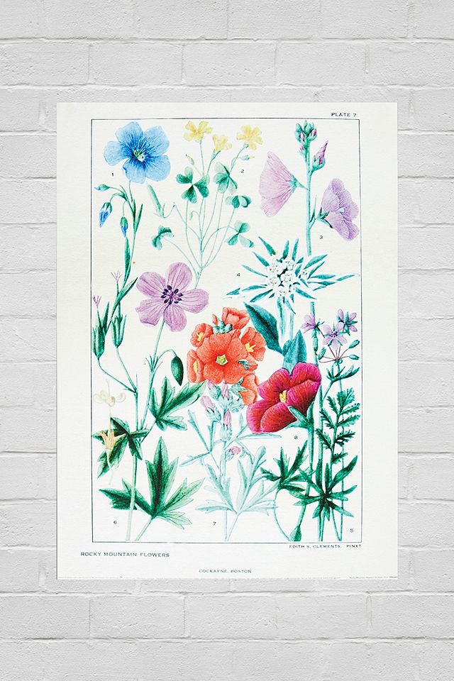 Red & Blue Wildflowers 30x40 Poster | Urban Outfitters UK