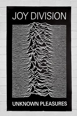 Impression murale Joy Division 61x91cm