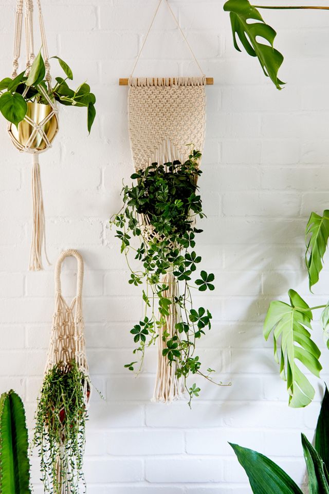 Braid Back Hanging Planter