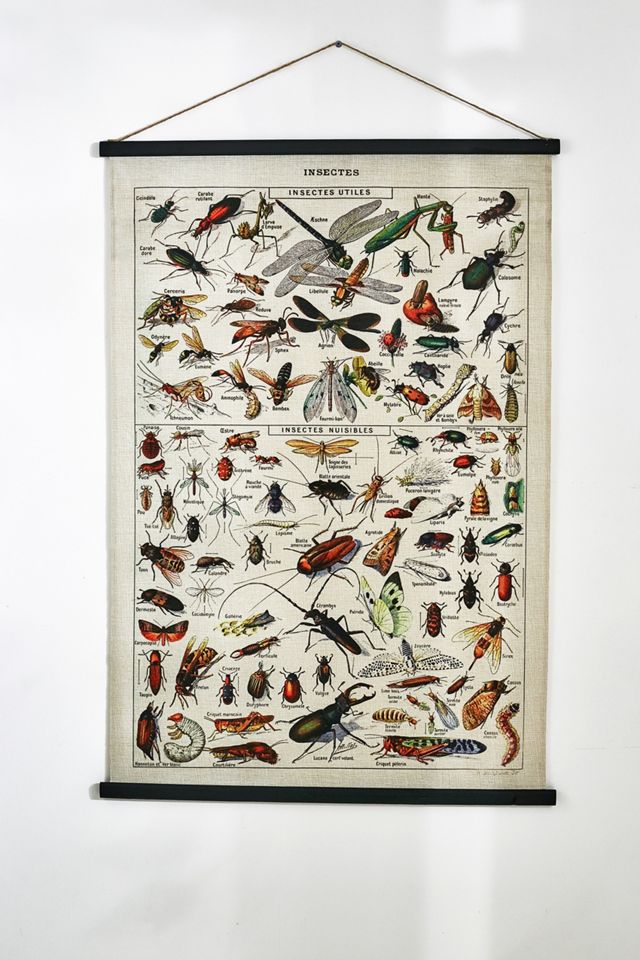Wanddeko „Insects“ #1